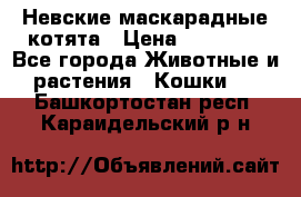 Невские маскарадные котята › Цена ­ 15 000 - Все города Животные и растения » Кошки   . Башкортостан респ.,Караидельский р-н